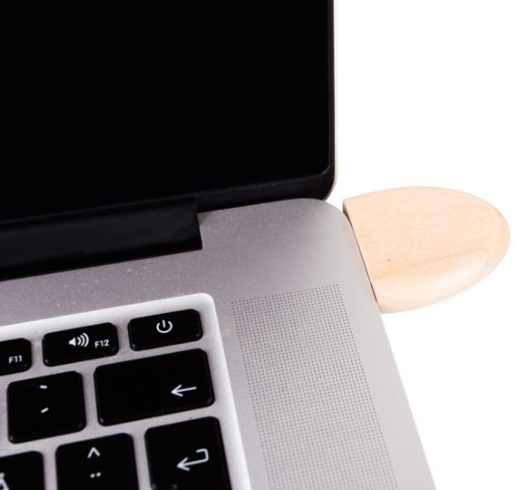 Muistitikku Wooden Oval